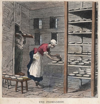 Une fromagerie. Illustration du 19ème siècle. Collection Bianchetti - Unknown artist