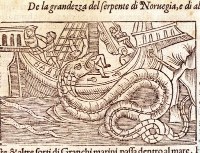 Un serpent marin géant attaque un navire et bat son équipage. Gravure par Olaus Magnus (1490 - 1557), religieux et géographe suédois, « Historia de Gentis Septentrionalibus », Venise - Unknown artist