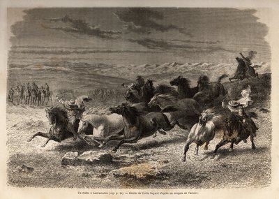 Un rodéo à Lauramarca (Bas Pérou), la capture de chevaux sauvages, avant leur marquage au fer avec les initiales du propriétaire de la région, considéré comme un spectacle complet, de nombreux badauds rassemblés. Gravure pour illustrer le voyage dans les v - Unknown artist