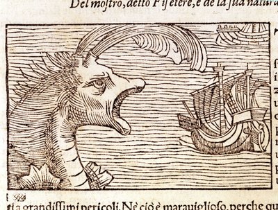 Un cachalot (?) (physeter) attaque un navire. Gravure par Olaus Magnus (1490 - 1557), religieux et géographe suédois, « Historia de Gentis Septentrionalibus », Venise - Unknown artist