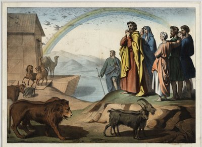 Après le déluge, les animaux descendent de l