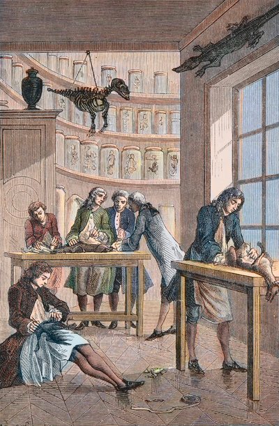 Albrecht von Haller (1708-1777) dans son laboratoire à Berne en Suisse - Laboratoire du médecin suisse Albrecht von Haller (1708-1777) à Berne - Unknown artist