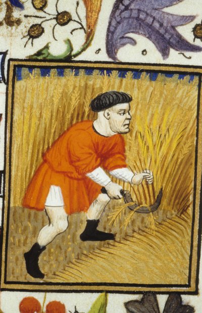 Représentation allégorique de juillet. Récolte : un paysan fauchant du blé doré. Miniature d