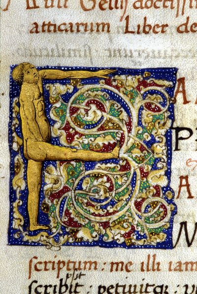 Alphabet : lettre miniaturée F - Unknown artist
