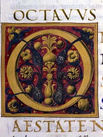 Alphabet : lettre O miniaturée - Unknown artist