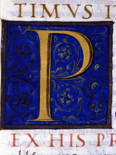 Alphabet : lettre miniaturée P - Unknown artist