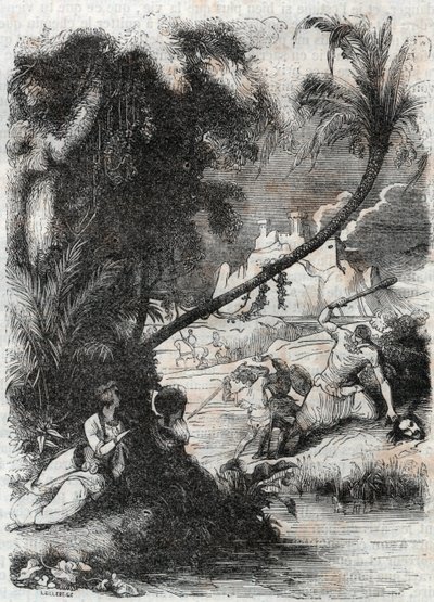 Bataille de Griffon et Aquilant contre Orrile - gravure de 1851 de « Roland furieux » (Orlando furioso) (16e siècle) par Ludovico Ariosto, connu sous le nom d