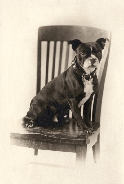 Boxeur assis sur une chaise, vers 1890 - Unknown artist
