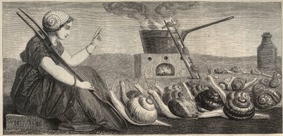 Escargot de Bourgogne - gravure du 19e siècle - Unknown artist