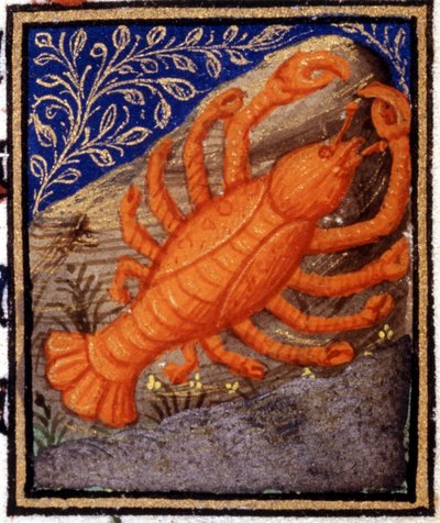Cancer. Miniature d