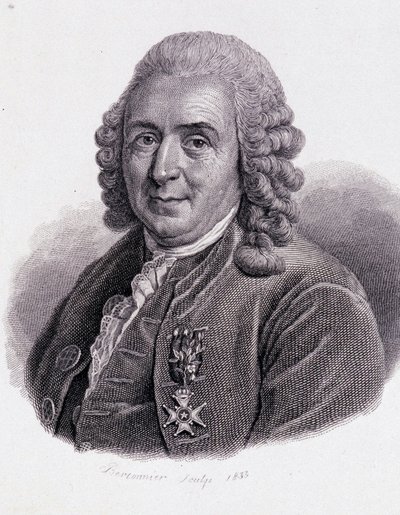 Carl Von Linné naturaliste et écrivain suédois (1707 - 1778) - dans « Portrait d