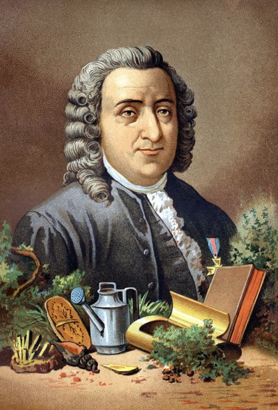 Carl Von Linné naturaliste et écrivain suédois (1707 - 1778) d