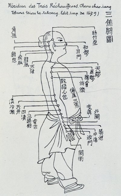 Acupuncture chinoise : le méridien des trois réchauffeurs - Unknown artist