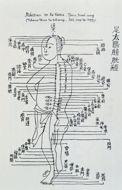 Acupuncture chinoise : le méridien de la vessie - Unknown artist