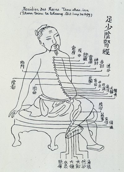 Acupuncture chinoise : le méridien des reins - Unknown artist