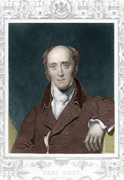 Comte Henry George Grey (1812 - 1898) en 1845 - Unknown artist