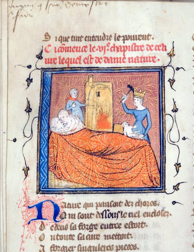 Couple enlacé dans un lit, une reine tue un nourrisson, et un autre personnage incendie une maison - Unknown artist