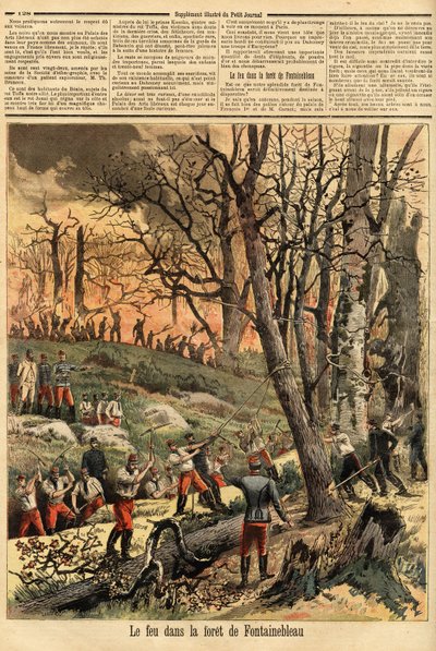 Incendie criminel dans la forêt de Fontainebleau. Gravure dans "Le petit journal" 22/04/1893. Collection Selva. - Unknown artist