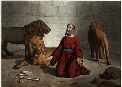 Daniel, jeté aux lions par le roi, est protégé par un ange du Seigneur qui calme les bêtes. Gravure anonyme du milieu du 19ème siècle. - Unknown artist