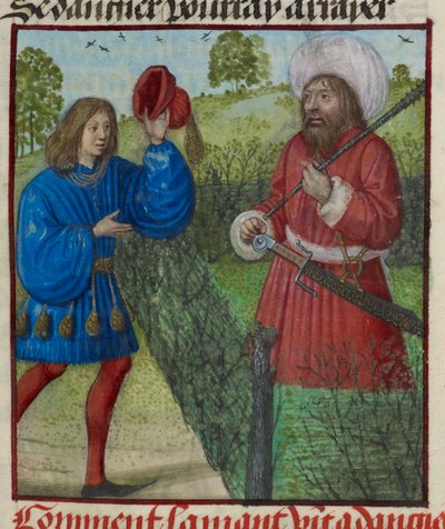 (détail) de l