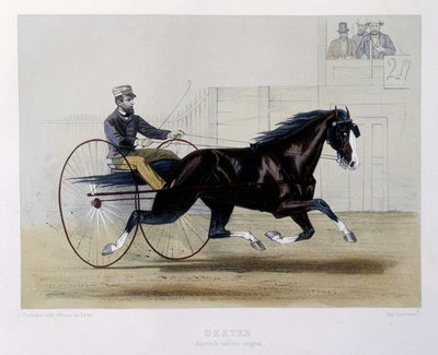 Dexter trotteur - dans « Le Centaure » - Unknown artist