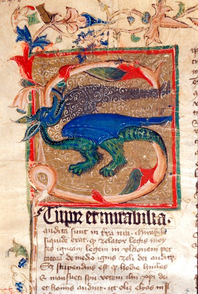 Lettrine décorée de dragon (détail) d