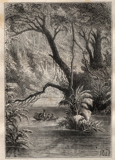 Expédition en Amérique (1799-1804) par Alexander von Humboldt (1769-1859) et Aimé Bonpland (1773-1858) : les explorateurs descendent l