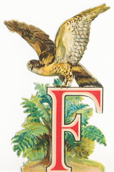 F : Faucon - Unknown artist