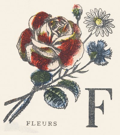 F: fleurs - Unknown artist
