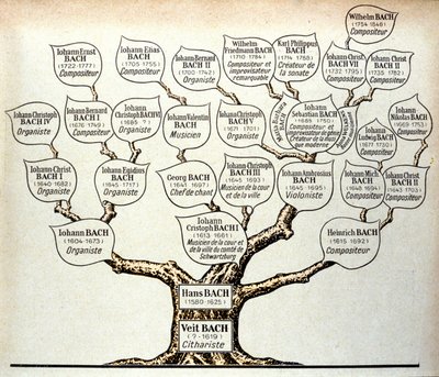 Arbre généalogique de la famille Bach - Unknown artist