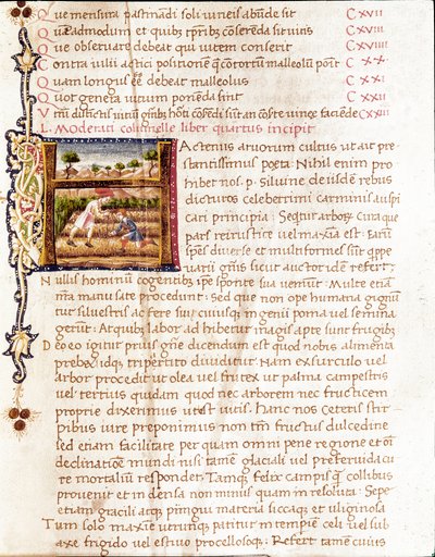 Paysans plantant des vignes (miniature) - Unknown artist