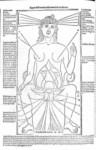 Appareil reproducteur féminin - dans le Traité de Médecine par Gerolamo Cardano (Cardanus Hieronymus), Florence 1585. - Unknown artist