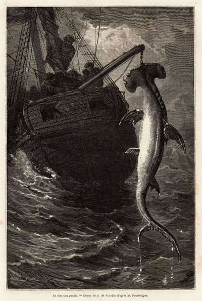 Pêche d