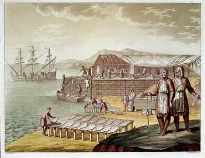 Pêche et séchage de la morue à Terre-Neuve - Unknown artist