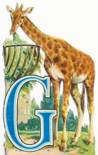 G: girafe - Unknown artist