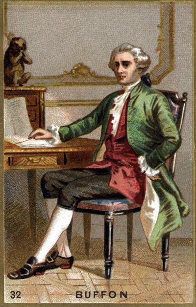 Georges Louis Leclerc, Comte de Buffon (1707 - 1788). Chromolithographie du 19e siècle - Unknown artist