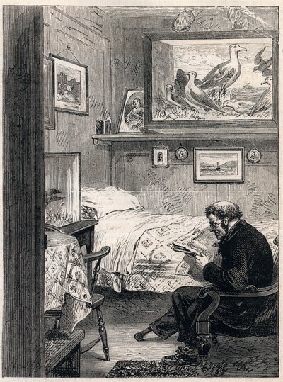 Cabine de l
