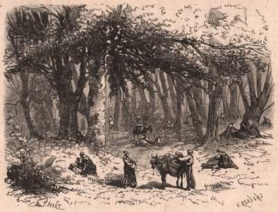 Groupe de personnes cueillant des champignons dans la forêt de Fontainebleau - Unknown