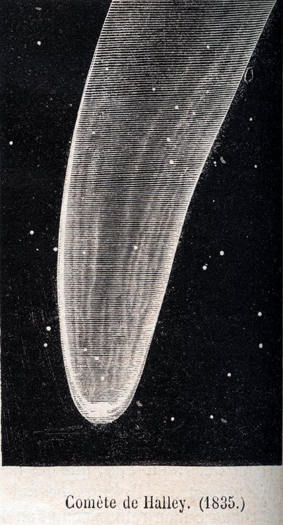 La comète de Halley 1835 - gravure vers 1867 - Unknown artist