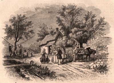 Récolte de pommes en Normandie, France - Unknown