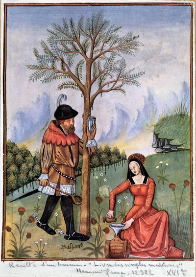 Récolte d