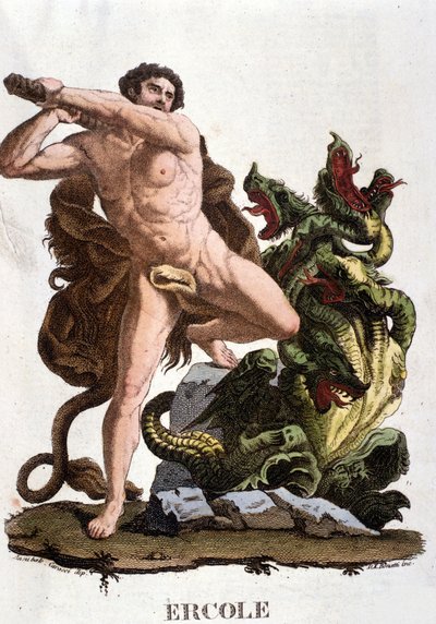 Hercule terrasse l