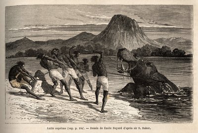 Chasse à l