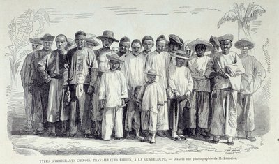 Histoire des colonies françaises : immigrants chinois travaillant en Guadeloupe. Dessin d