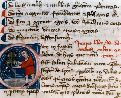 Horticulture : récolte de fruits (détail). Page de manuscrit (MS.s.vi) "Traité d
