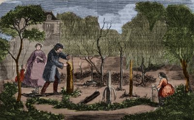 Horticulture : principales méthodes de transplantation des plantes. Gravure de 1860. - Unknown artist