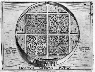 Hortus Medicus Patav: Jardin Médical de Padoue - Unknown artist