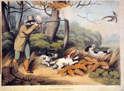 Chasse aux faisans en Angleterre - Unknown artist