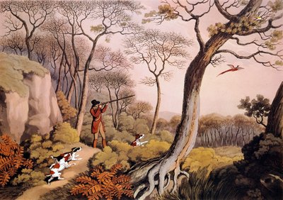 Chasse aux faisans en Angleterre. Gravure du 19ème siècle. Gien, musée de la chasse - Unknown artist