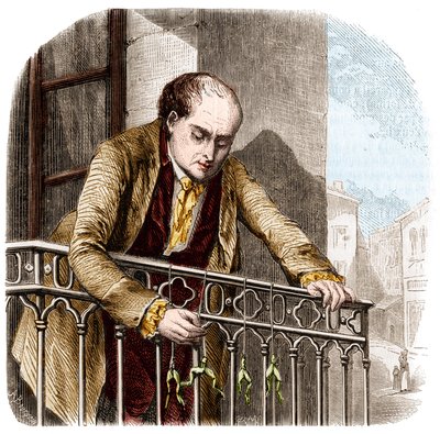 Illustration des expériences de Luigi Galvani, physicien et médecin italien (1737-1798) avec des grenouilles - Unknown artist